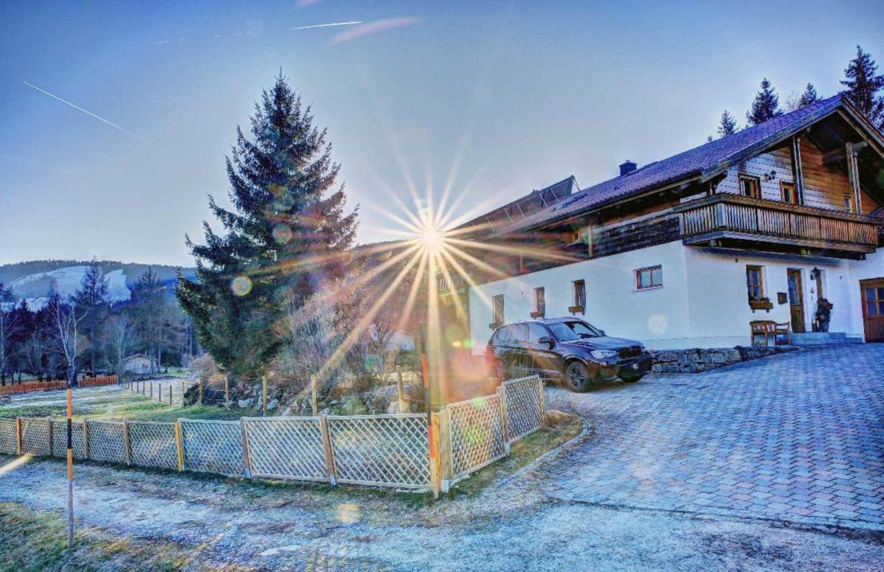 Ferienwohnung Petra Bischofsmais Zewnętrze zdjęcie
